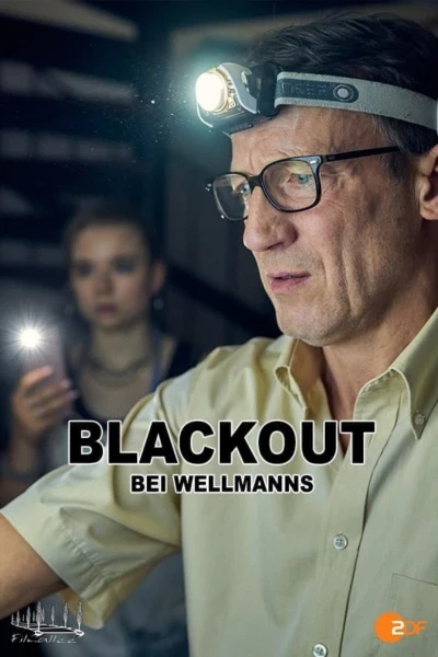 Blackout bei Wellmanns