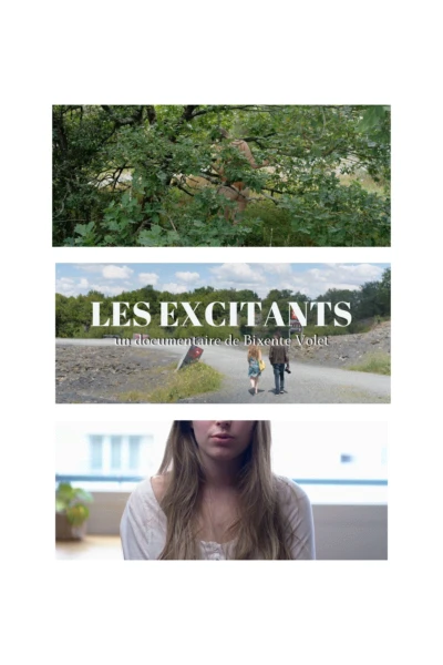 Les Excitants