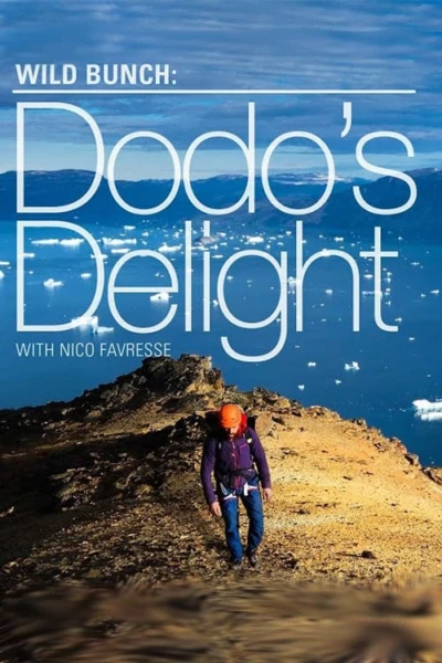Dodo's Delight - The Adventures Of The Dodo