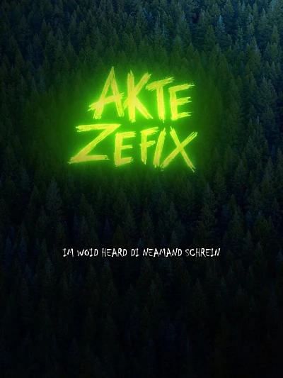 Akte Zefix