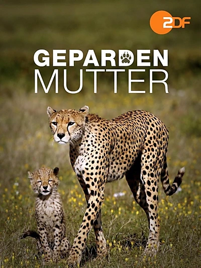 Gepardenmutter