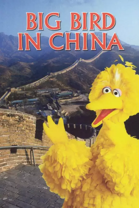 Big Bird in China