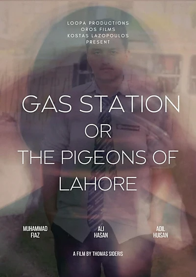 The Pigeons of Lahore