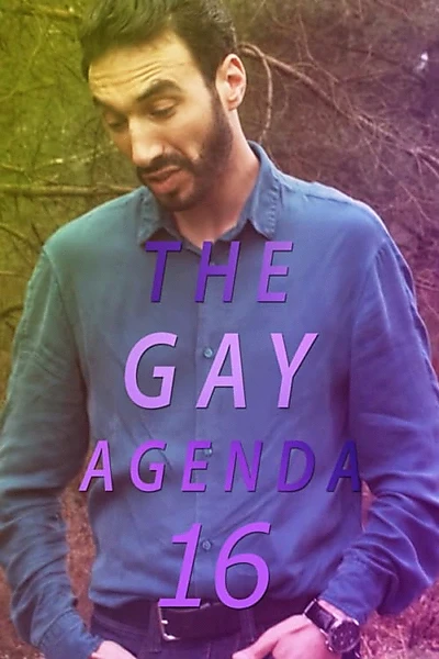 The Gay Agenda 16