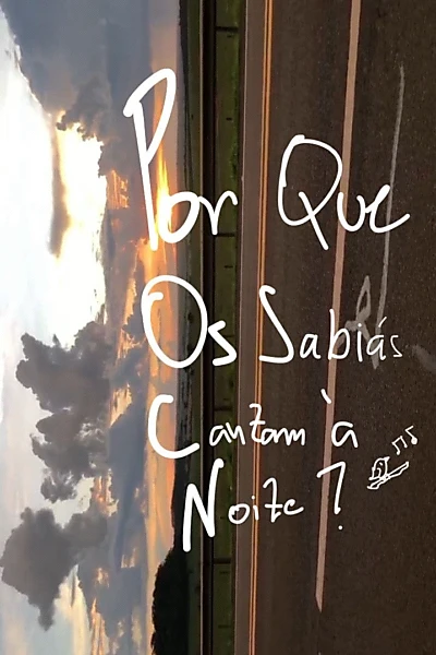 Por Que Os Sabiás Cantam À Noite?