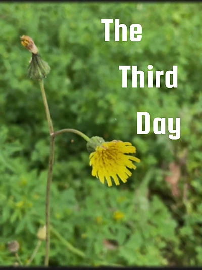 The Third Day