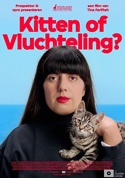 Kitten of vluchteling?