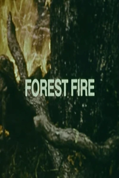 Your Chance to Live: Forest Fire