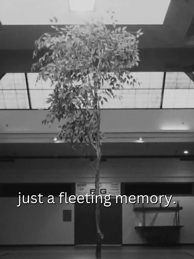 just a fleeting memory.