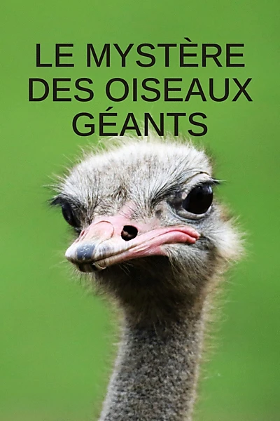 Le mystère des oiseaux géants