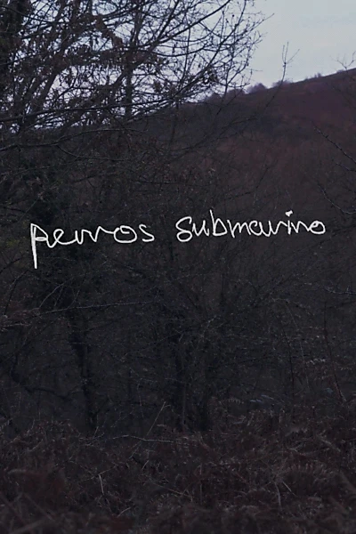 Perros submarino