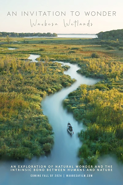 An Invitation to Wonder: Waubesa Wetlands