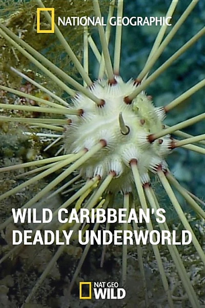 National Geographic: Caribbean's Deadly Underworld