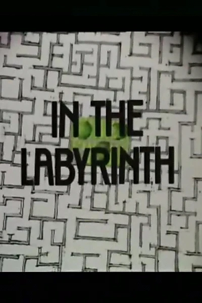 In the Labyrinth