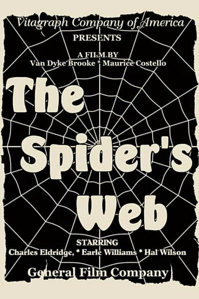 The Spider's Web