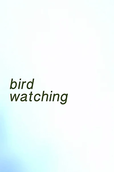 bird watching