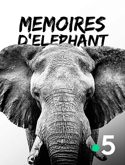 Mémoires d'éléphant