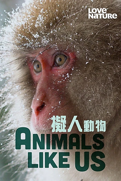 Animals Like Us