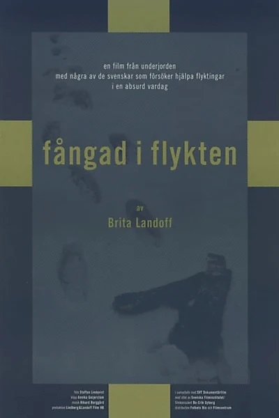 Fångad i flykten