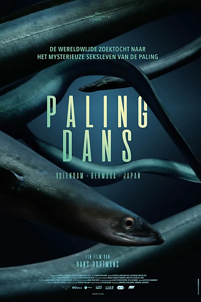 Palingdans