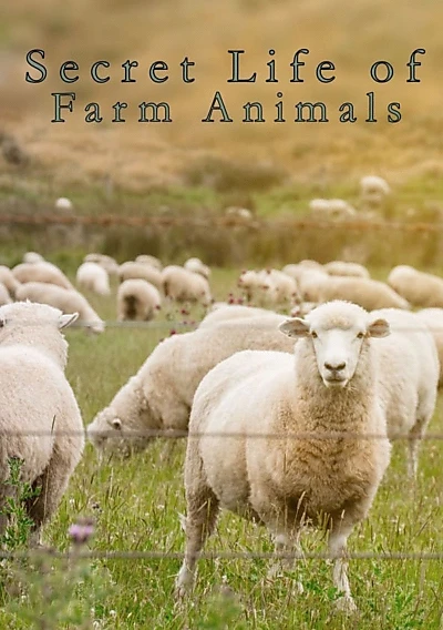 Secret Life of Farm Animals