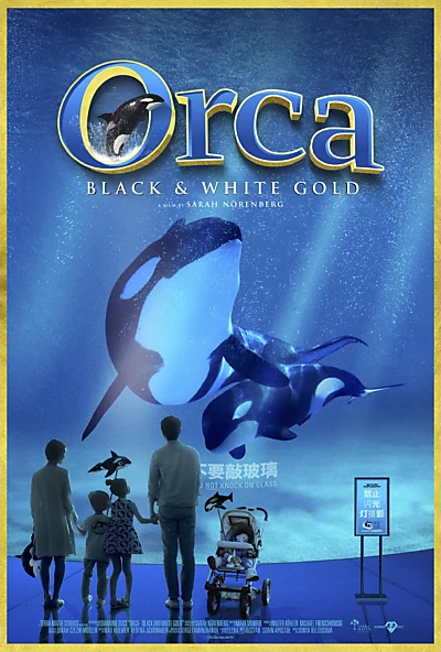 Orca: Black & White Gold