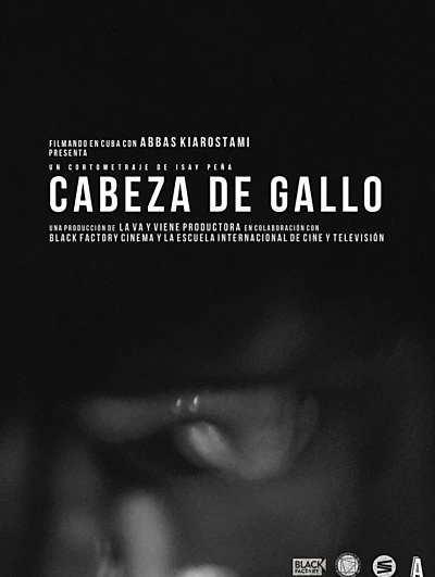 Cabeza de gallo