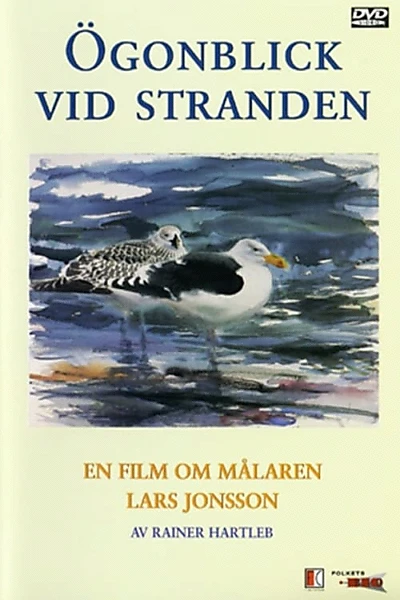 Ögonblick Vid Stranden