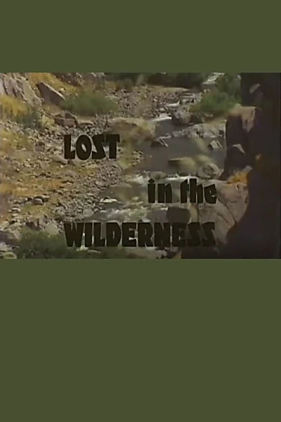 Lost In The Wilderness