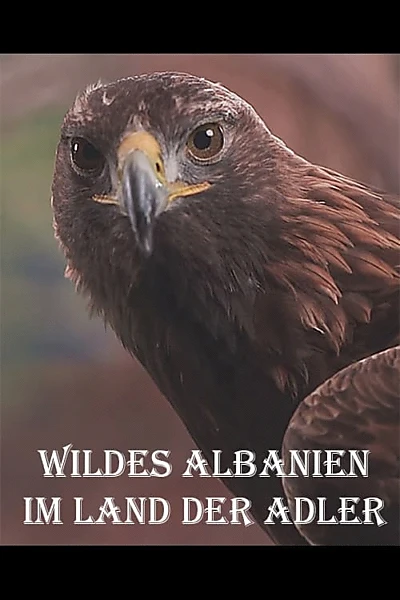 Wildes Albanien - Im Land der Adler