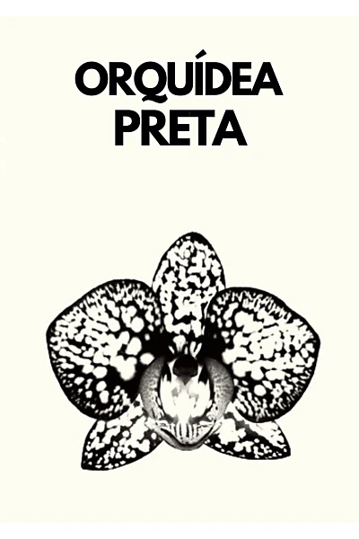 ORQUÍDEA PRETA