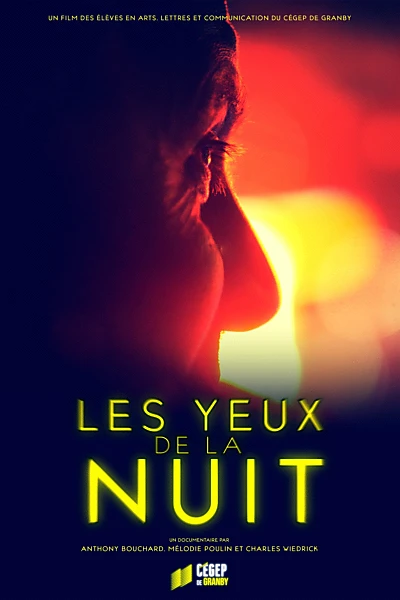 Les yeux de la nuit