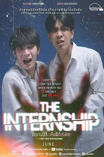 The Internship