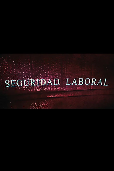 Seguridad Laboral