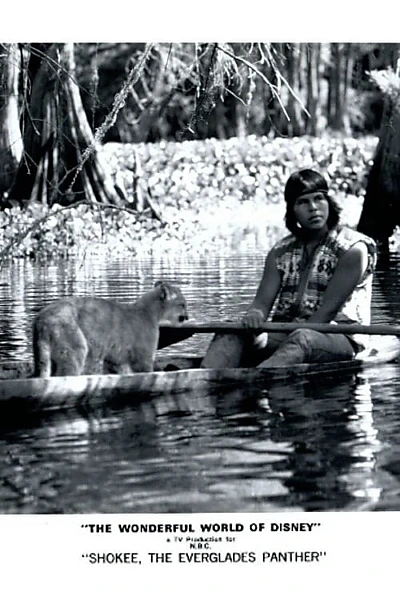 Shokee, the Everglades Panther