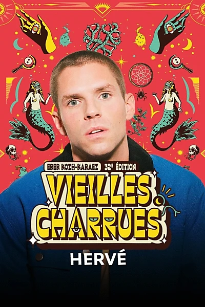 Hervé en concert aux Vieilles Charrues 2024