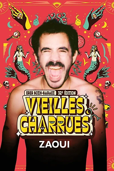 Zaoui en concert aux Vieilles Charrues 2024