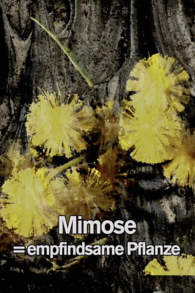 Mimosa Tank: A Prologue for a Film