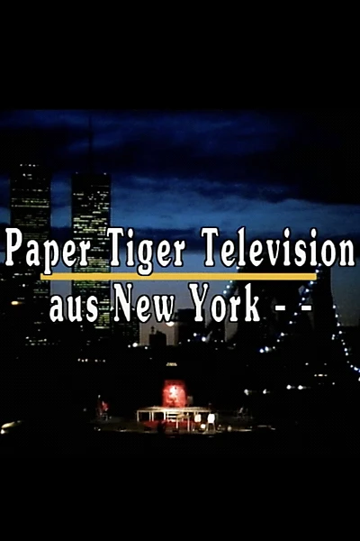 Paper Tiger Television, New York