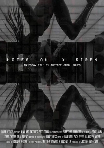 Notes On A Siren