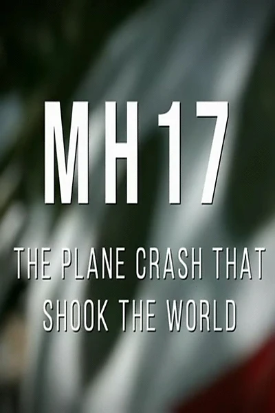 MH17: The Plane Crash That Shook The World