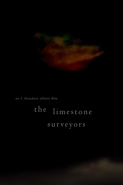 The Limestone Surveyors