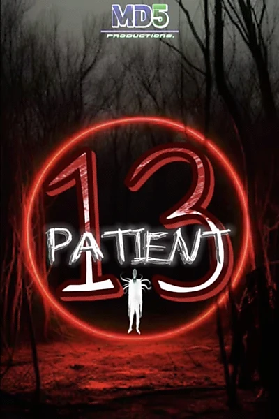 PATIENT 13