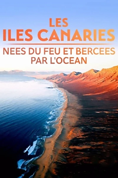 Les Îles Canaries, nées du feu et bercées par l'océan