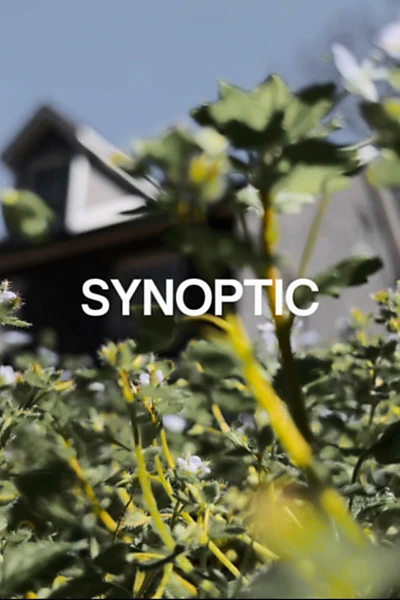 Synoptic