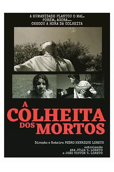 A Colheita dos Mortos