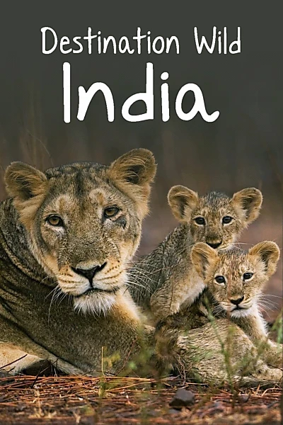 Destination Wild: India