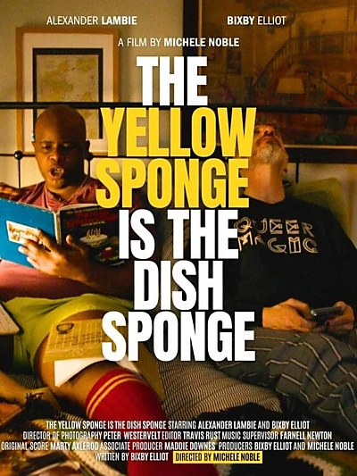 The Yellow Sponge is the Dish Sponge