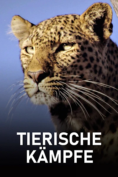 Tierische Kämpfe