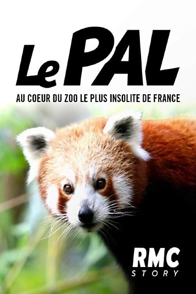 Le Pal : au coeur du zoo le plus insolite de France